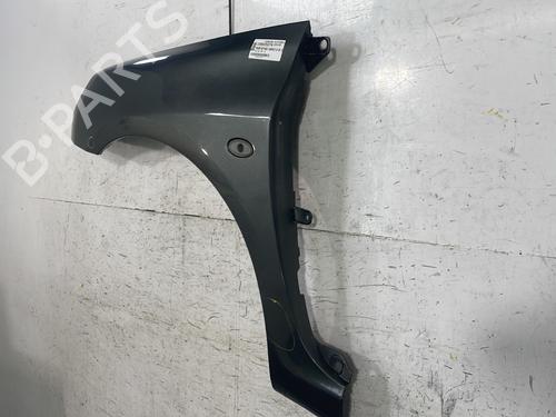 Left front fenders PEUGEOT 307 CC (3B) 2.0 16V | BP25758335C41 