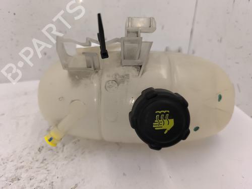 Expansion tank RENAULT TRAFIC III Van (FG_) 1.6 dCi 115 (FGMD) | BP25204869C120 
