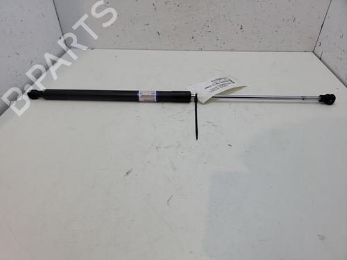 Hood lift support DACIA SANDERO II TCe 90 (B8M1, B8MA, B8AC) | BP26642498C139 