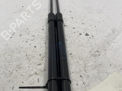 Used Hood lift support Hood lift support DACIA DUSTER (HM_) 1.2 TCe 125 4x4 (HMMA) (125 hp) 22841948 22841948