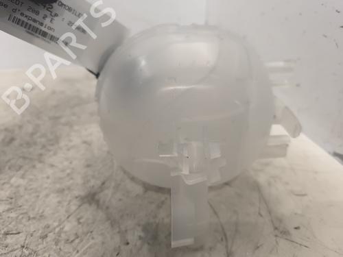 Expansion tank PEUGEOT 208 II (UB_, UP_, UW_, UJ_) e-208 | BP24196784C120 
