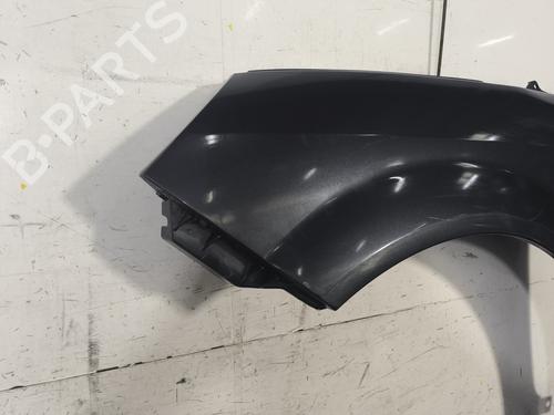 Left front fenders RENAULT SCÉNIC II (JM0/1_) 1.9 dCi (JM14) | BP24474730C41 
