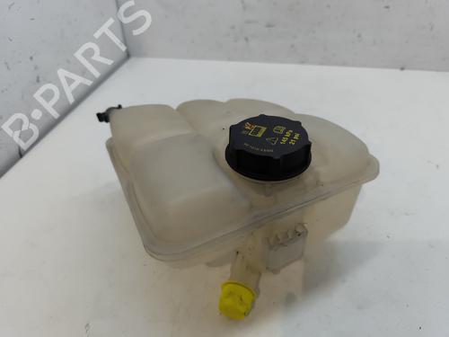 Expansion tank RENAULT KANGOO / GRAND KANGOO II (KW0/1_) 1.5 dCi 90 (KW05, KW08, KW0G, KW11) | BP28178735C120 