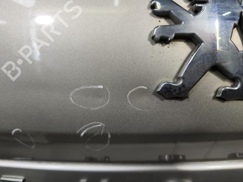 Tailgate PEUGEOT 308 SW I (4E_, 4H_) 1.6 HDi | BP29598793C6 