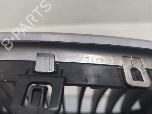 Grille BMW 1 (E87) 120 d | BP31271739C40 