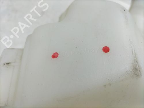 Windscreen washer tank RENAULT VEL SATIS (BJ0_) 2.2 dCi (BJ0E, BJ0F) | BP30326862C113