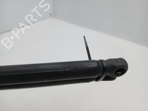 Used Tailgate lift support Tailgate lift support RENAULT MEGANE III Coupe (DZ0/1_) 1.9 dCi (DZ0N, DZ0J, DZ1J, DZ1K) (131 hp) 34504756 34504756