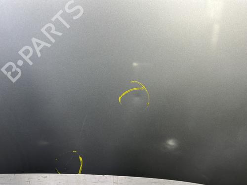 Hood RENAULT SCÉNIC III (JZ0/1_) 1.9 dCi (JZ0J, JZ1J, JZ1K, JZ1S) | BP24227676C1