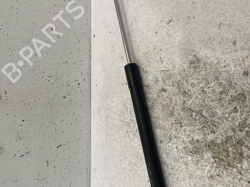 Hood lift support DACIA SANDERO II 1.5 dCi | BP25445532C139 