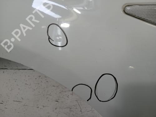 Forskærm venstre DACIA SANDERO 1.2 16V LPG | BP32031041C41 