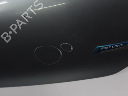 Used Tailgate NISSAN PIXO (UA0) 1.0 (68 hp) 22815723