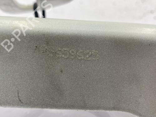 Hinge/Door check strap BMW 3 (F30, F80) 318 d | BP22844496C146 