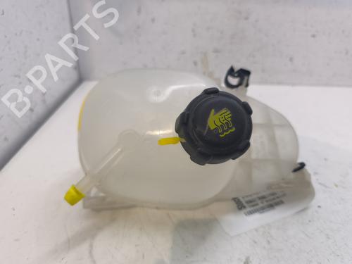 Used Expansion tank RENAULT TWINGO III (BCM_, BCA_) [2014-2025]  27348076