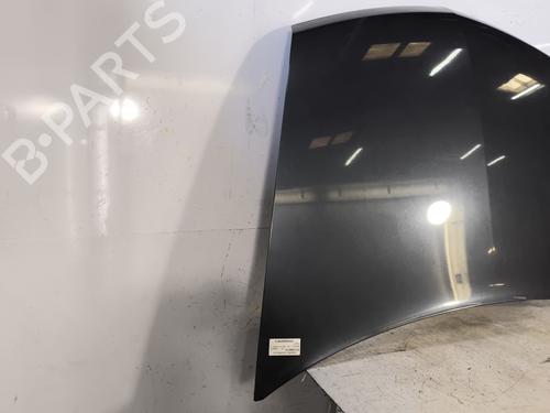 Hood RENAULT VEL SATIS (BJ0_) 3.0 dCi (BJ0S) | BP23905762C1 