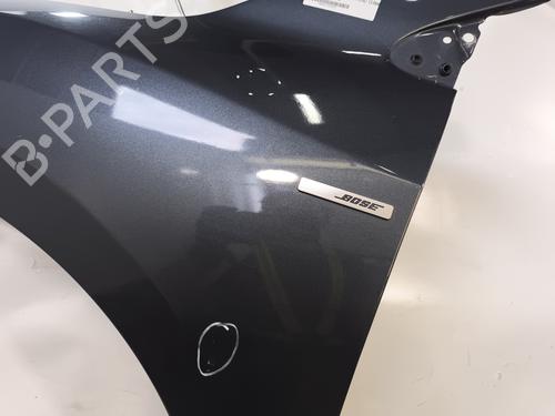 Left front fenders RENAULT MEGANE III Hatchback (BZ0/1_, B3_) 1.5 dCi (BZ09, BZ0D, BZ1W, BZ29, BZ14) | BP29222462C41 