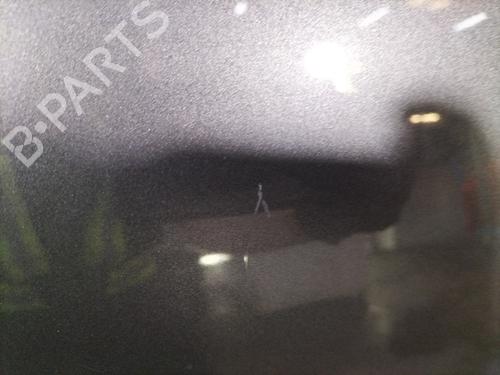Hood RENAULT TWINGO III (BCM_, BCA_)  | BP26659500C1 