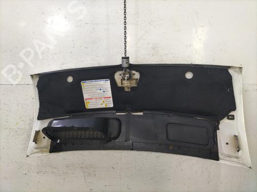 hood-fiat-ducato-van-250_-2006-31997203 main image