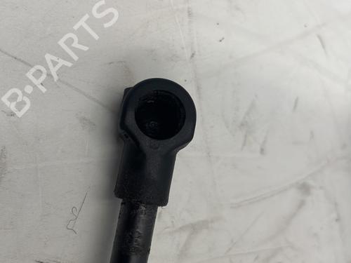 Tailgate lift support RENAULT SCÉNIC IV (J9_) 1.2 TCe 130 | BP23829093C138 