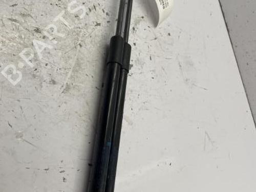 Hood lift support DACIA DUSTER (HM_) 1.3 TCe 130 4x4 (HMMF) | BP22841881C139