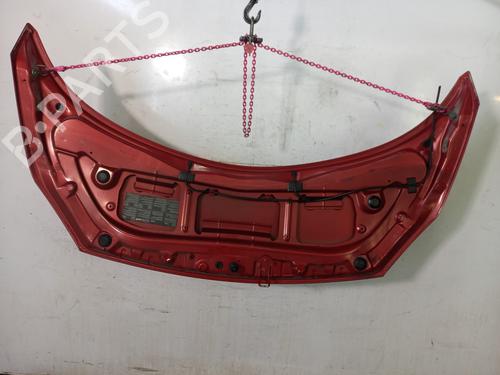 Hood RENAULT SCÉNIC II (JM0/1_) 1.5 dCi (JM1E, JM16) | BP22820669C1 