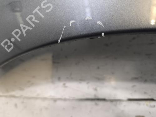 Left front fenders PEUGEOT 206+ (2L_, 2M_) 1.1 | BP30162361C41