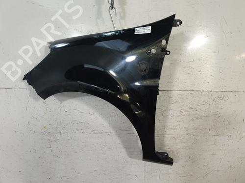 Used Left front fenders RENAULT CLIO III (BR0/1, CR0/1) 1.5 dCi (88 hp) 29700506
