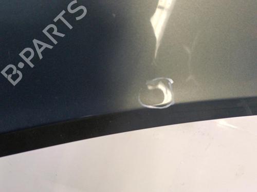 Hood RENAULT SCÉNIC II (JM0/1_) 1.5 dCi (JM1E, JM16) | BP22818292C1 