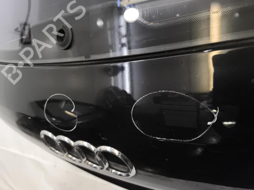Bakluke CC/Kombi-Kupé AUDI A6 C6 Avant (4F5) 3.0 TDI quattro | BP29540893C6 