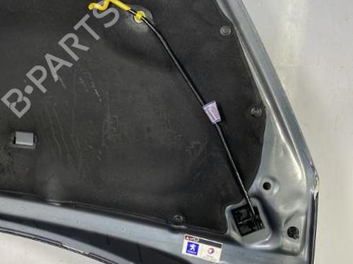 Hood PEUGEOT 308 I (4A_, 4C_) 1.6 HDi | BP29561918C1 