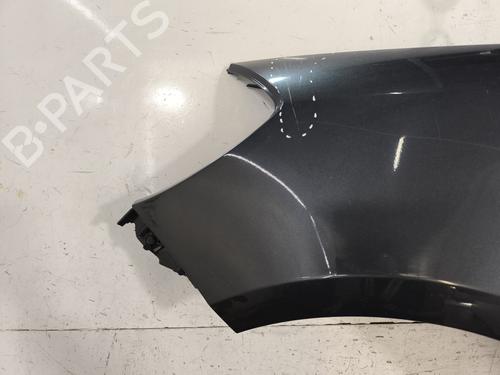 Left front fenders RENAULT CLIO III (BR0/1, CR0/1) 1.5 dCi (BR17, CR17) | BP28679607C41