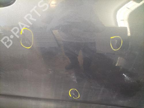 Right front door CITROËN C4 II (NC_) 1.6 HDi 90 | BP30719323C3