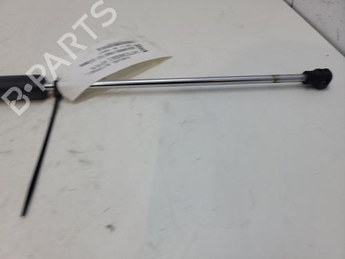 Hood lift support DACIA SANDERO II TCe 90 (B8M1, B8MA, B8AC) | BP26642498C139 