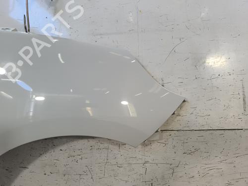 Right front fenders RENAULT SCÉNIC III (JZ0/1_) 1.5 dCi | BP28525890C42