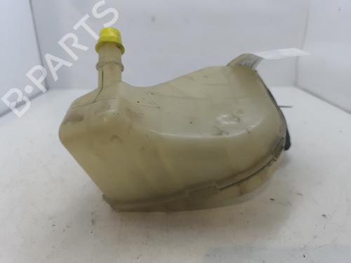 Expansion tank RENAULT TWINGO II (CN0_) 1.2 16V (CN0K, CN0V, CN0A) | BP29339060C120