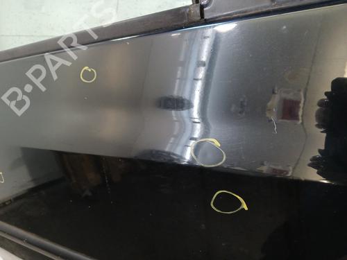 Right front door RENAULT CLIO III (BR0/1, CR0/1) 1.5 dCi | BP29640015C3 