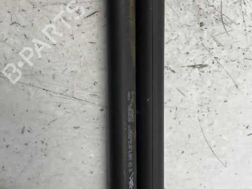 Tailgate lift support PEUGEOT 208 I (CA_, CC_) 1.4 HDi | BP22834106C138