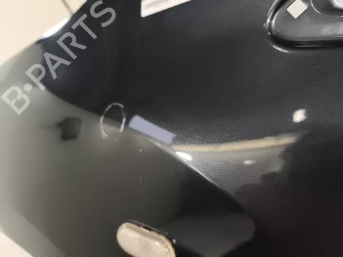 Left front fenders DACIA DOKKER Box Body/MPV 1.2 TCe 115 (FEM0) | BP29960081C41 