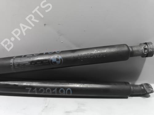 Hood lift support BMW 3 (E90) 318 d | BP29339014C139 