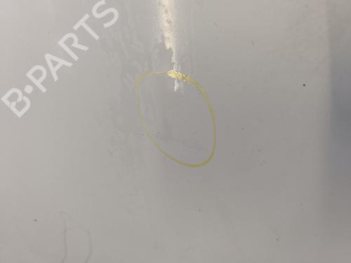 Hood RENAULT MASTER III Van (FV) 2.3 dCi 125 FWD (FV0C, FV0D, FV0G, FV0H, FV0J, FV0K,... | BP31582036C1 