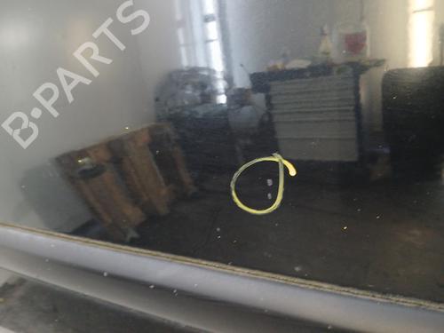 Left front door RENAULT CLIO III (BR0/1, CR0/1) 1.5 dCi | BP29640016C2 