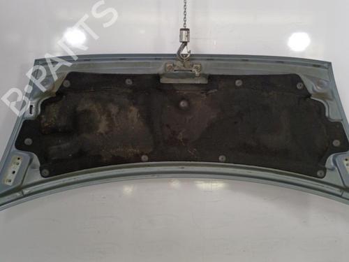 Hood FORD TRANSIT Van (FA_ _) 2.0 DI (FAE_, FAF_, FAG_) | BP22820955C1 