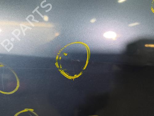 Right rear door RENAULT CLIO III Grandtour (KR0/1_) 1.5 dCi | BP29598780C5 