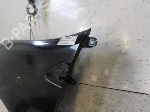 Left front fenders RENAULT CLIO III (BR0/1, CR0/1) 1.2 16V (BR02, BR0J, BR11, CR02, CR0J, CR11) | BP29869200C41