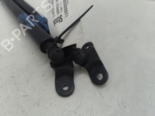 Tailgate lift support CHEVROLET ORLANDO (J309) 2.0 D | BP31263539C138