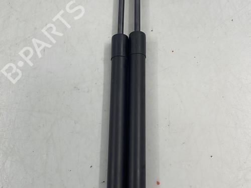 Tailgate lift support DACIA SANDERO II 1.5 Blue dCi 95 (B8JL) | BP22826824C138