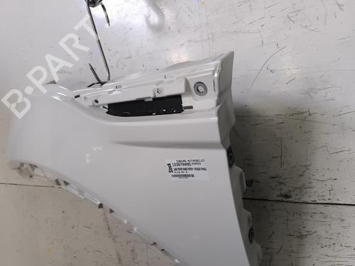 Used Left front fenders Left front fenders LAND ROVER RANGE ROVER EVOQUE (L538) [2011-2019] 33717239 33717239