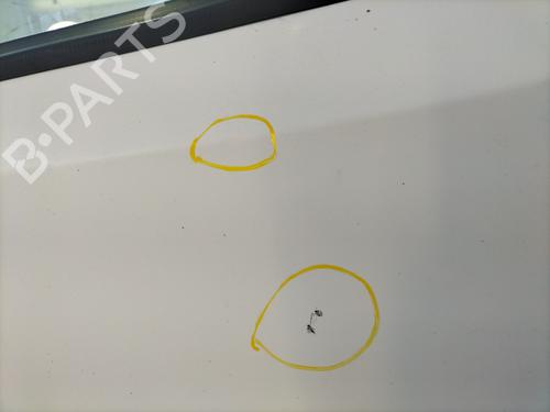 Left front door CITROËN NEMO MPV 1.3 HDi 75 | BP31062302C2