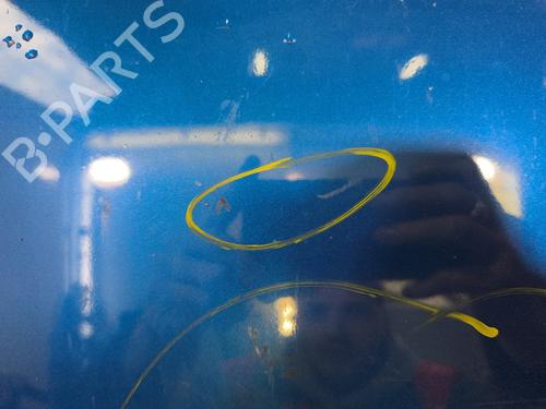 Hood RENAULT TWINGO II (CN0_) 1.5 dCi (CN0E) | BP29869078C1 