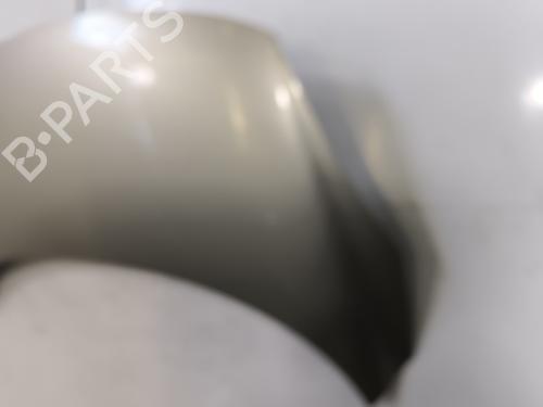 Hood RENAULT GRAND SCÉNIC III (JZ0/1_) 1.5 dCi (JZ0B, JZ07) | BP29869161C1