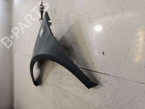 Left front fenders VW PASSAT CC B6 (357) 2.0 TDI | BP32388183C41